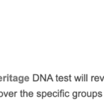 Uncovering Success: An Order to Cash Review of MyHeritage’s Business Model